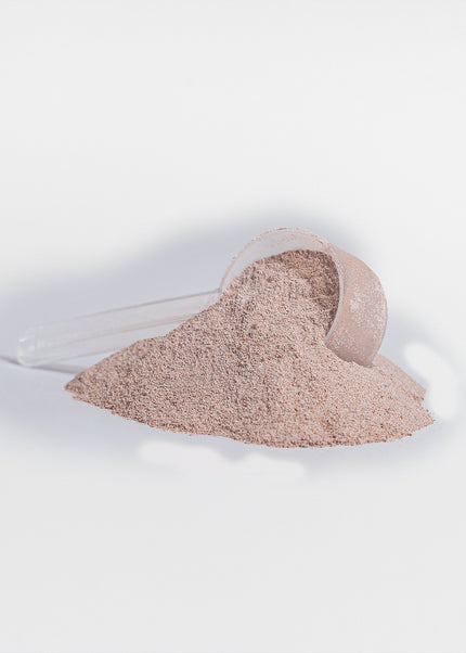 Plant Protein (Vanilla)