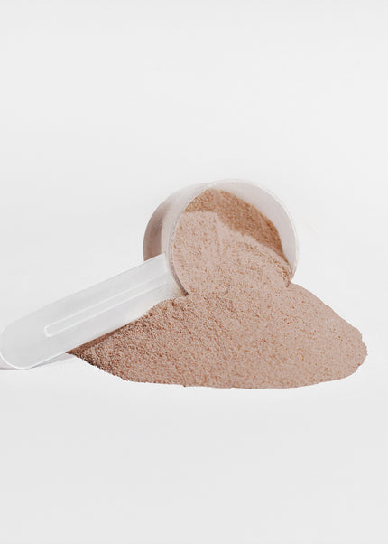 Plant Protein (Chocolate)