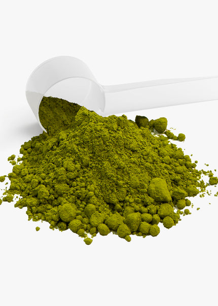 Ceremonial Matcha Powder