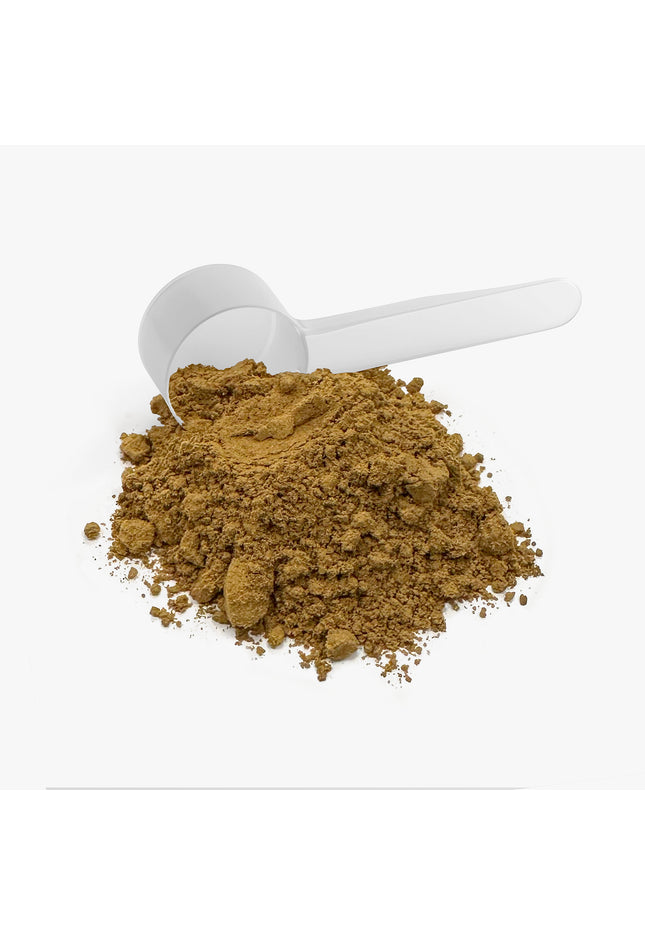 Mushroom Fuse Instant Coffee (Medium Roast)