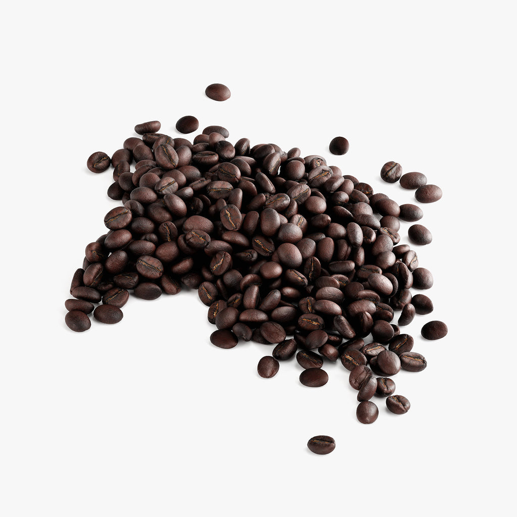 Chocolate Bold Coffee (Dark Roast) 12 Oz