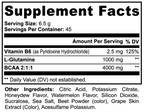 BCAA Post Workout Powder (Honeydew/Watermelon) 10 .3Oz