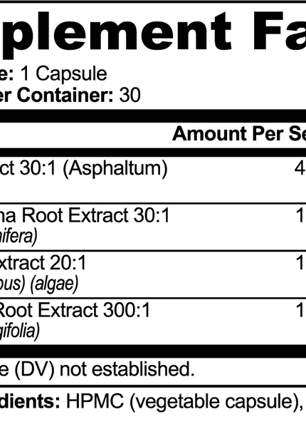 Shilajit Adaptogen Complex - 30 Caps