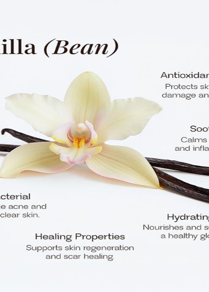 Whipped Grass-Fed Tallow Balm with Vanilla Bean