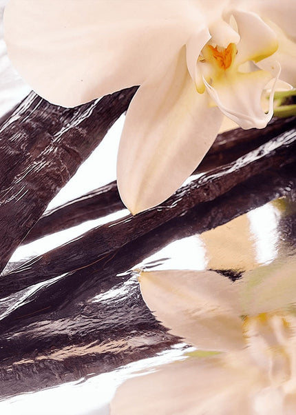 Whipped Grass-Fed Tallow Balm with Vanilla Bean